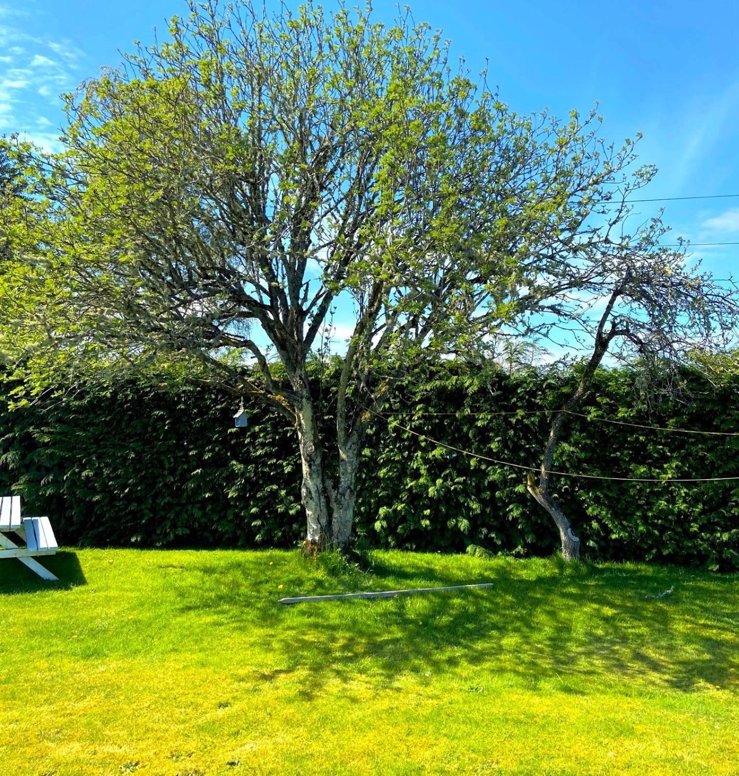 26 Green Drive Inverness Inshes Buitenkant foto